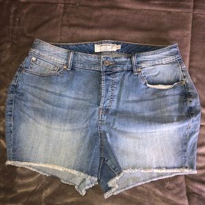 Torrid High Rose Short Shorts